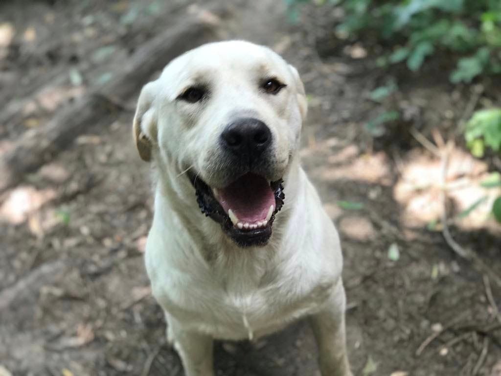 1739275774-chirurgia-tkanek-miekkich