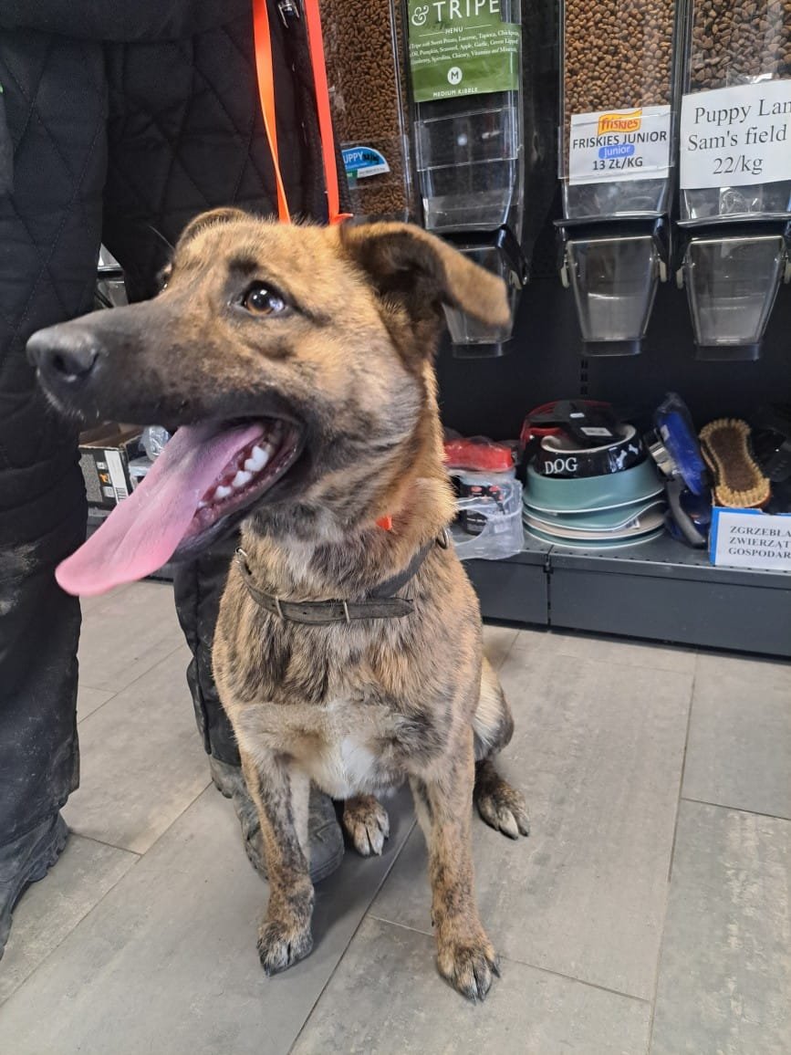 1739275978-dermatologia