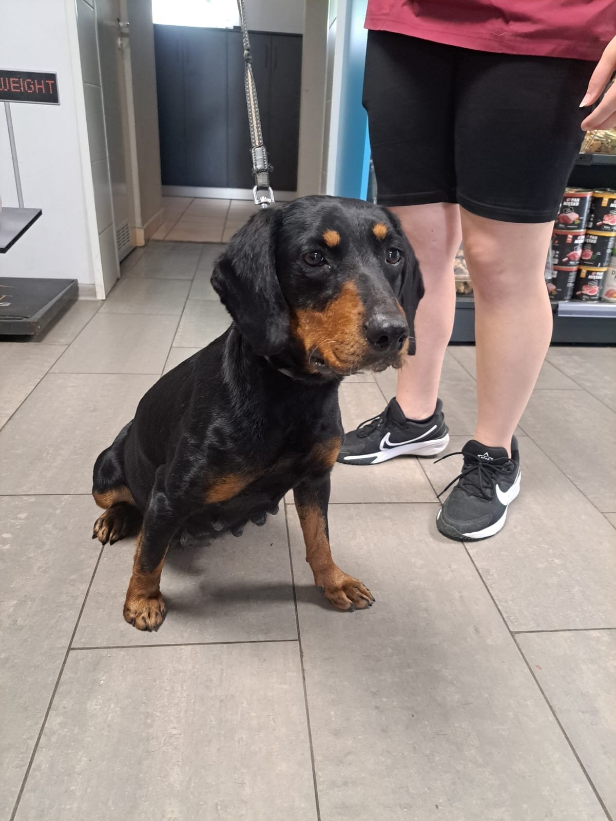 1739276021-ortopedia