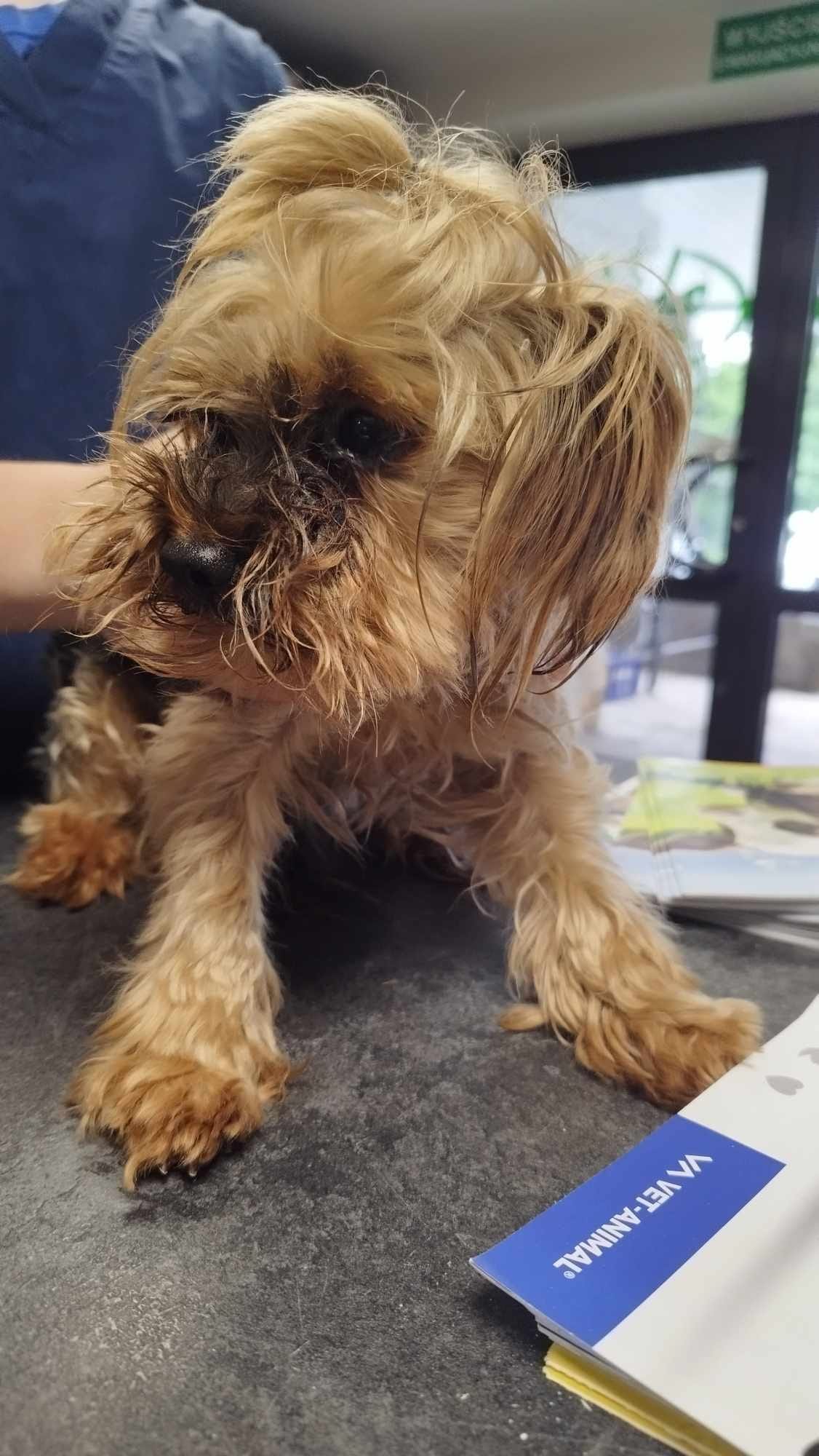 1739286656-rozrod-i-poloznictwo